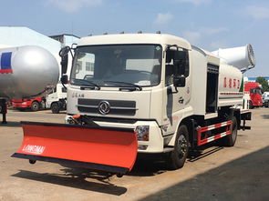 新疆英吉沙蓝牌C证驾驶雾炮车 专业生产厂家与市场应用解析